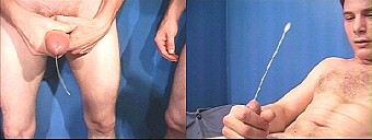 porn videos
