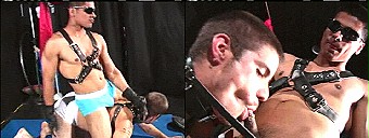amateur porn