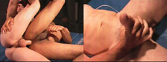 amateur gay porn and straight porn videos