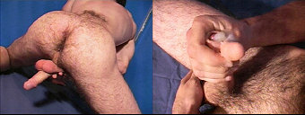 porn videos