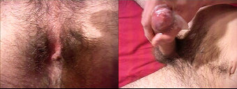 porn videos