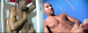 porn videos