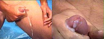 porn videos