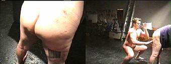 porn videos