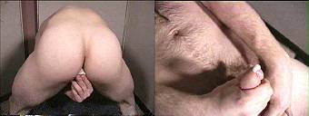 porn videos
