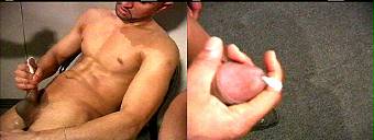 porn videos