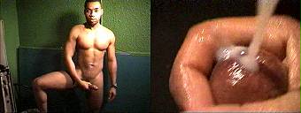 porn videos