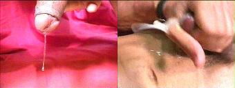 porn videos