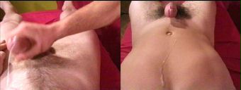 porn videos