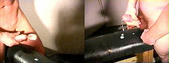porn videos