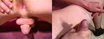 porn videos