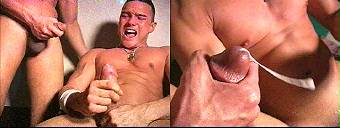 porn videos