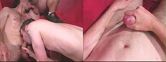 porn videos