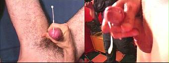 porn videos