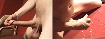 porn videos