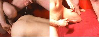 porn videos