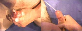 porn videos