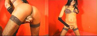 porn videos