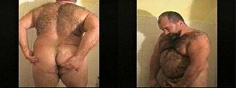 porn videos