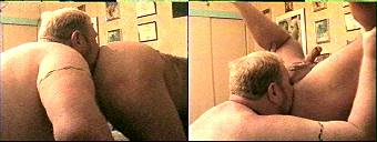 porn videos