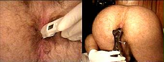 amateur porn