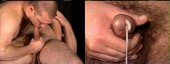 porn videos