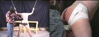 porn videos