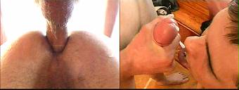 porn videos