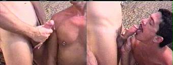 porn videos