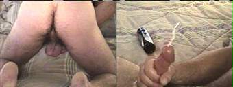porn videos
