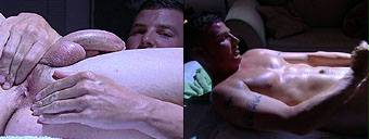 porn videos