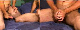 porn videos