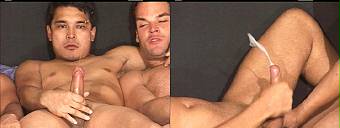 porn videos