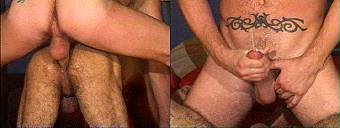 porn videos