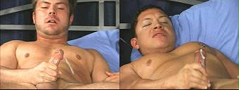 porn videos