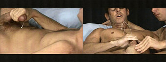 porn videos