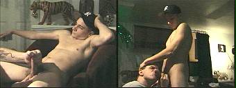 porn videos