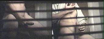 porn videos