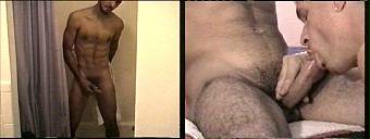 amateur porn videos