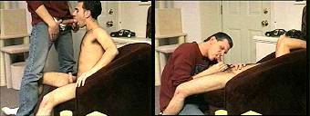 porn videos