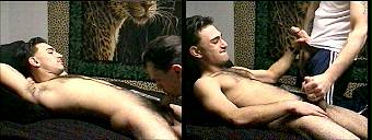 porn videos