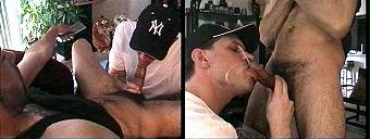 porn videos