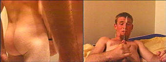 porn videos