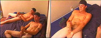 porn videos