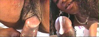 porn videos
