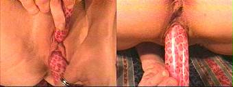 porn videos