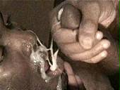 porn videos