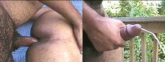 porn videos