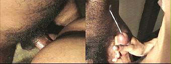 porn videos