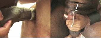 porn videos